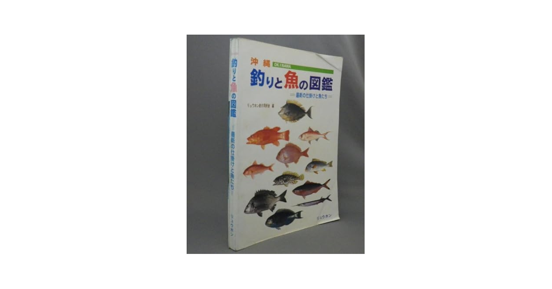 沖縄　釣りと魚の図鑑　最新の仕掛けと魚たち 痛みと染み有り 沖縄 釣りと魚の図鑑 最新の仕掛けと魚たち 痛みと染み有り 本